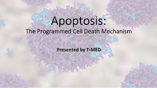 ApoptosisA detailed topic Review [upl. by Jempty]