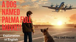 A Dog Named Palma full MovieEnglish explanation [upl. by Nyrok27]