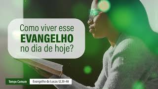 Evangelho de 23 de outubro [upl. by Avuha264]