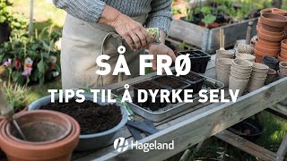 Så frø  tips til å dyrke selv [upl. by Scrope]