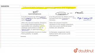 Differentiable between spermatogenesis and oogenesis [upl. by Sirenay423]