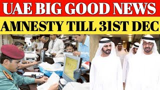 UAE Visa Update 1st November 2024  Dubai Work Visa Latest Update  UAE Work Visa Latest News [upl. by Merton233]