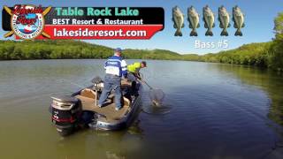 Taneycomo Bass Tournament  Weekend Waters April 23 17 [upl. by Sisto]