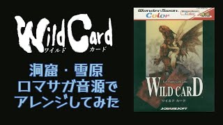 【WILD CARD】洞窟・雪原【ロマサガ音源アレンジ】 [upl. by Halbeib]