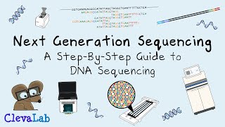 Next Generation Sequencing  A StepByStep Guide to DNA Sequencing [upl. by Ardnaskela]