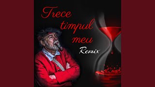 Trece timpul meu  Тихо как в раю Remix [upl. by Natsirc]