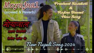 Moyajaal New Nepali SolwedampReverb Song 2024  Prashant Siwakoti Rojina Basnet New Song 2024 [upl. by Harod]