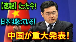 中国経済の嵐：日本企業は前例のない困難に直面している！ [upl. by Amein821]