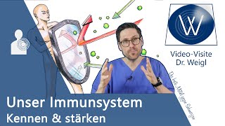 Mein Immunsystem Wie schützt es mich vor dem Coronavirus 😷 Das eigene Abwehrsystem verstehen ✅ [upl. by Nazarius]