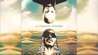 Common amp Stevie Wonder  A Common Wonder  Amerigo Gazaway Full Album [upl. by Shererd]