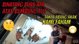 BINATANG BUAS APA DEKAT ATAS BUMBUNG RUMAH TUTAK APA ABANG AKAK KAMI FAHAMTERBAIK BOMBA MALAYSIA [upl. by Aria]