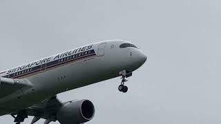 Touchdown in Style Singapore Airlines A350 💙✈️💛 [upl. by Selbbep]