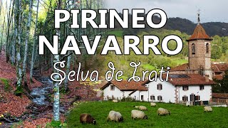 PIRINEO NAVARRO  Selva de Irati Octubre 2024 [upl. by Padget]