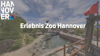 Erlebnis Zoo Hannover der 360° Film [upl. by Hallock]