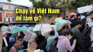 Tiểu thương Trung Quốc chen lấn đổ xô sang Việt Nam từ sớm để làm gì [upl. by Laktasic455]