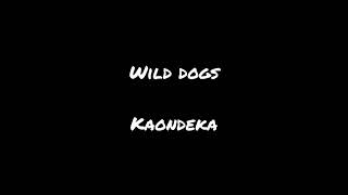 Wild dogs Kaondeka [upl. by Olnton629]