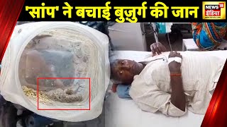 UP News  Bahraich में बुज़ुर्ग को सांप ने काटा सांप को लेकर अस्पताल पहुंच गया बुज़ुर्ग  News18 [upl. by Adnical797]