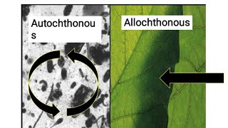 Autochthonous Vs Allochthonous Vs Parautochthonous ll Ecology ll Biology With Iswar ll csirnet 2021 [upl. by Polard329]