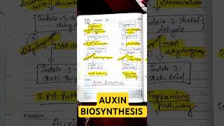 AUXIN BIOSYNTHESIS• IPA PATHWAY• TRYPTAMINE PATHWAY• CSIR NET LIFE SCIENCES auxincsirnetlifescien [upl. by Wrand]