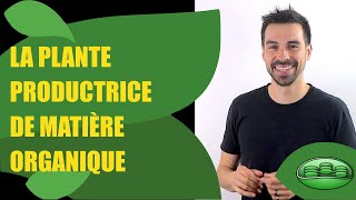 COURS DE TERMINALE SPÉCIALITÉ SVT CHAP9 LA PLANTE PRODUCTRICE DE MATIÈRE ORGANIQUE  Bio Logique [upl. by Rubina]