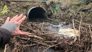 “Unclogging Beaver Blockages From Culvert Pipes” [upl. by Tomasine]