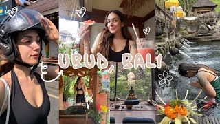 FIRST SOLO TRIP TO BALI What I spend in a day travelling meeting people solo travelling Ubud Bali [upl. by Ludba788]