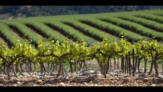 La Route des vins  Cote du Rhone [upl. by Wakefield]