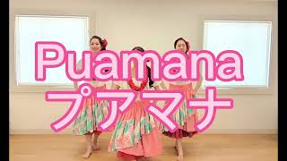 プアマナ フラ hula puamana フラダンス [upl. by Labotsirc]