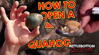 How to Open a Quahog [upl. by Ittam]