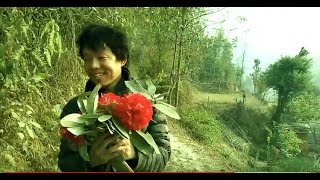 Laliguras Hunting 2018  Rhododendron  National Flower  Lele  Lalitpur  Nepal  Subash Yonjan [upl. by Idmann]