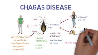 Chagas Disease  An overview [upl. by Aissila]