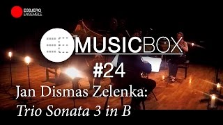 Jan Dismas Zelenka Trio Sonata 3 in B  Music Box 24 [upl. by Yeuh]