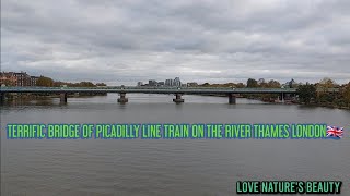 TERRIFIC BRIDGE OF PICADILLY LINE TRAIN ON RIVER THAMES LONDON  Love natures beauty [upl. by Gerti]