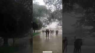 Rain in panimalar college collegelife panimalar [upl. by Ehctav983]