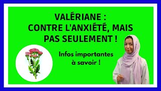 Quels sont les effets de la VALERIANE  Comment la valériane calme lanxiété  Infos en 6 min [upl. by Edrea65]