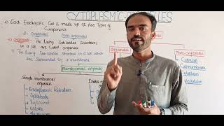 Cytoplasmic organelles membranous and Non membranous organellein Urdo Hindi by sohail khan Kakar [upl. by Lupee69]