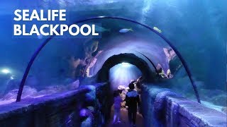 SEA LIFE Blackpool FULL TOUR [upl. by Anailil]