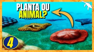 Os PRIMEIROS ANIMAIS e PLANTAS do MUNDO  Proterozoico 1 [upl. by Yrtneg]