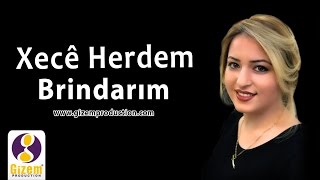 Xecê Herdem Birîndarım Akustik [upl. by Leanne]