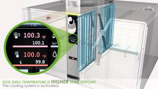 Petersime EmbryoResponse Incubation OvoScan [upl. by Arne]