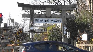 「12月の京都見てある記」 ⑤ 安井金比羅宮・終い金比羅祭（12月10日） [upl. by Greff]