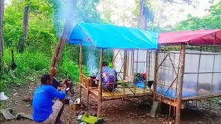 bertahan hidup di tengah hutan belantaraberkemah [upl. by Amluz950]