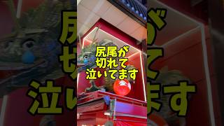 【しっぽが切れて泣く龍】大阪 心斎橋 ラーメン 金龍ラーメン ramen soba comedy shortsfeed osaka [upl. by Grevera]