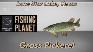 Grass Pickerel Lone Star Lake Texas Fishing Planet Guide [upl. by Mani109]