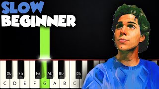 Until I Found You  Stephen Sanchez  SLOW BEGINNER PIANO TUTORIAL  SHEET MUSIC by Betacustic [upl. by Norel]