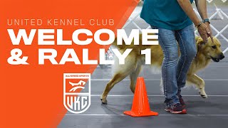 Learn the Beginner Rally Obedience Exercises  UKC Rally Obedience [upl. by Erlina689]