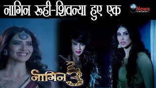 Naagin 3 एक हुए नागिन शिवन्यारूहीGold Awards 2018 Full Show  Red Carpet Zee Tv Awards 2018 [upl. by Byrann]