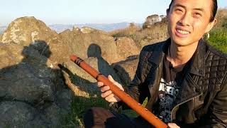 Andes Flute Player [upl. by Amir]