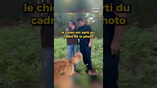 Ce mari demande sa femme en mariage avec la complicité de son chien [upl. by Asiulana996]