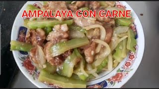 AMPALAYA CON KARNE  Adeline Official TV [upl. by Oiramrej581]